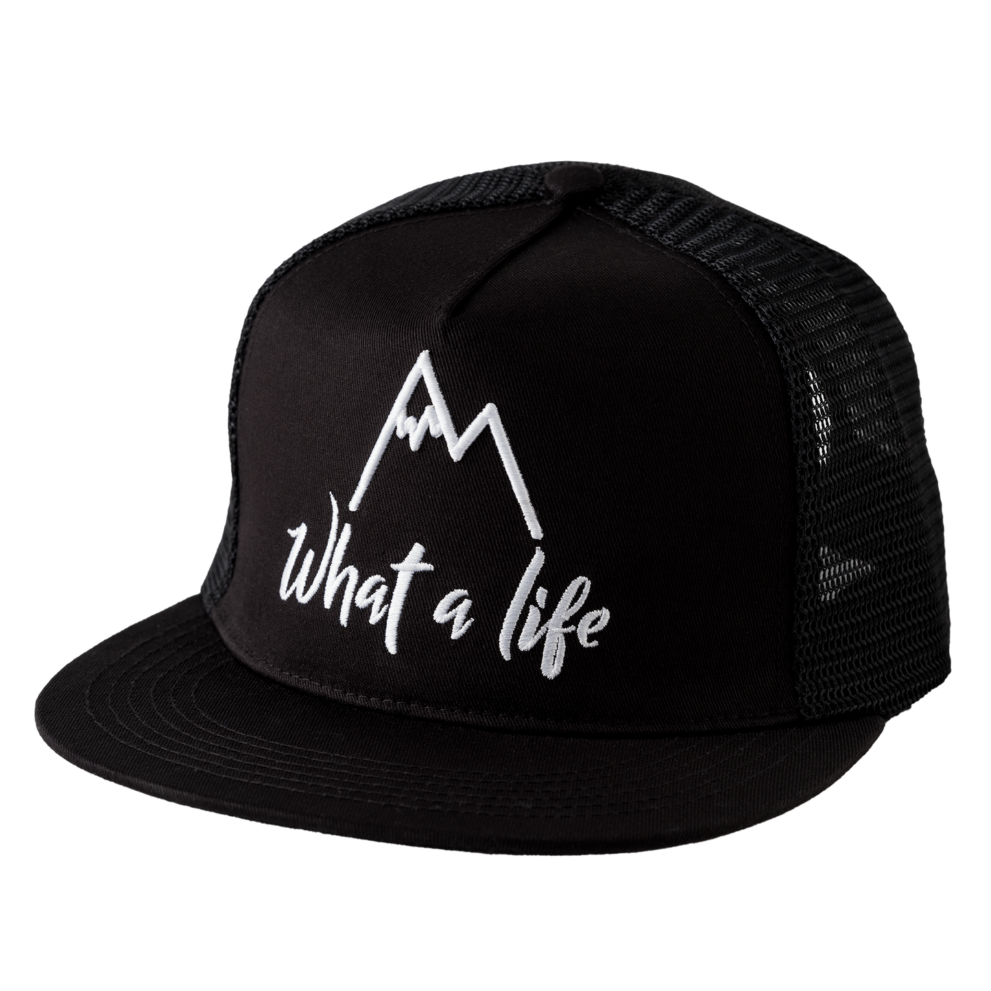 What A Life SnapBack Hat - Midnight Black