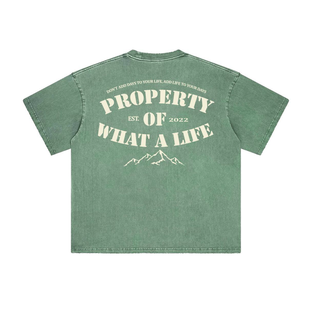 Property of What A Life