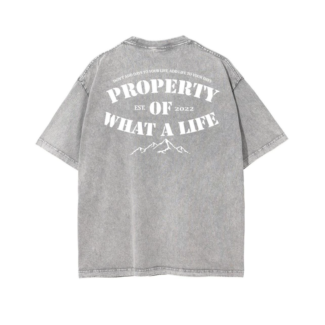 Property of What A Life