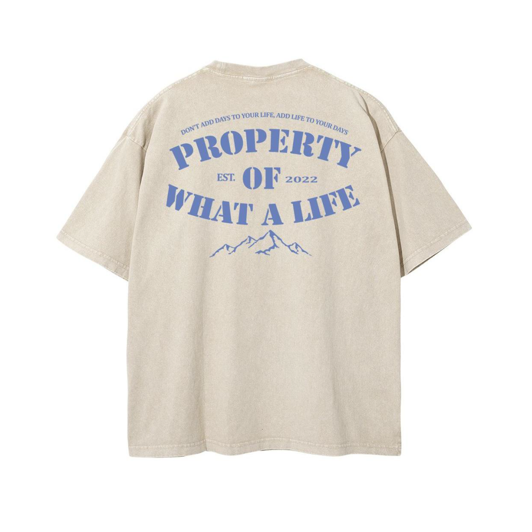 Property of What A Life